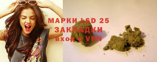 мет Бородино