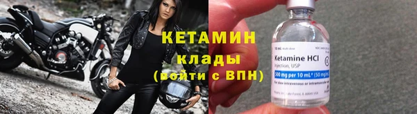 прущие грибы Бронницы