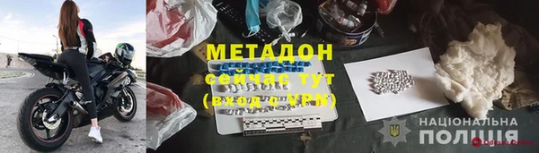 прущие грибы Бронницы