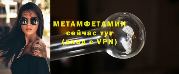 прущие грибы Бронницы
