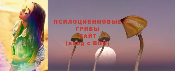 мет Бородино