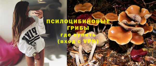 прущие грибы Бронницы