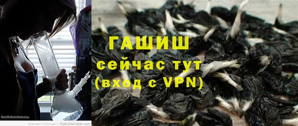 прущие грибы Бронницы