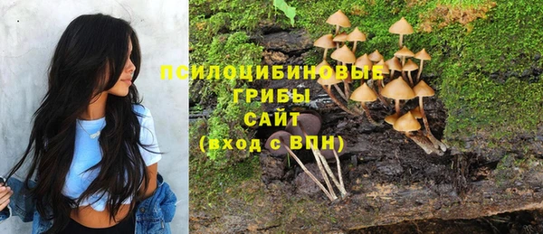 мет Бородино